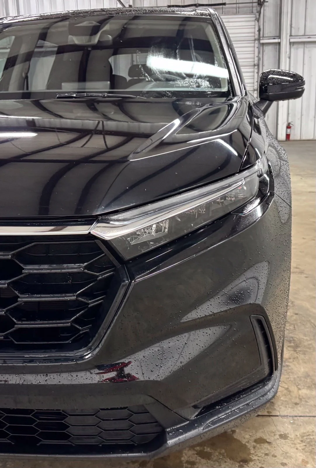 Used 2023  Honda LX image 9