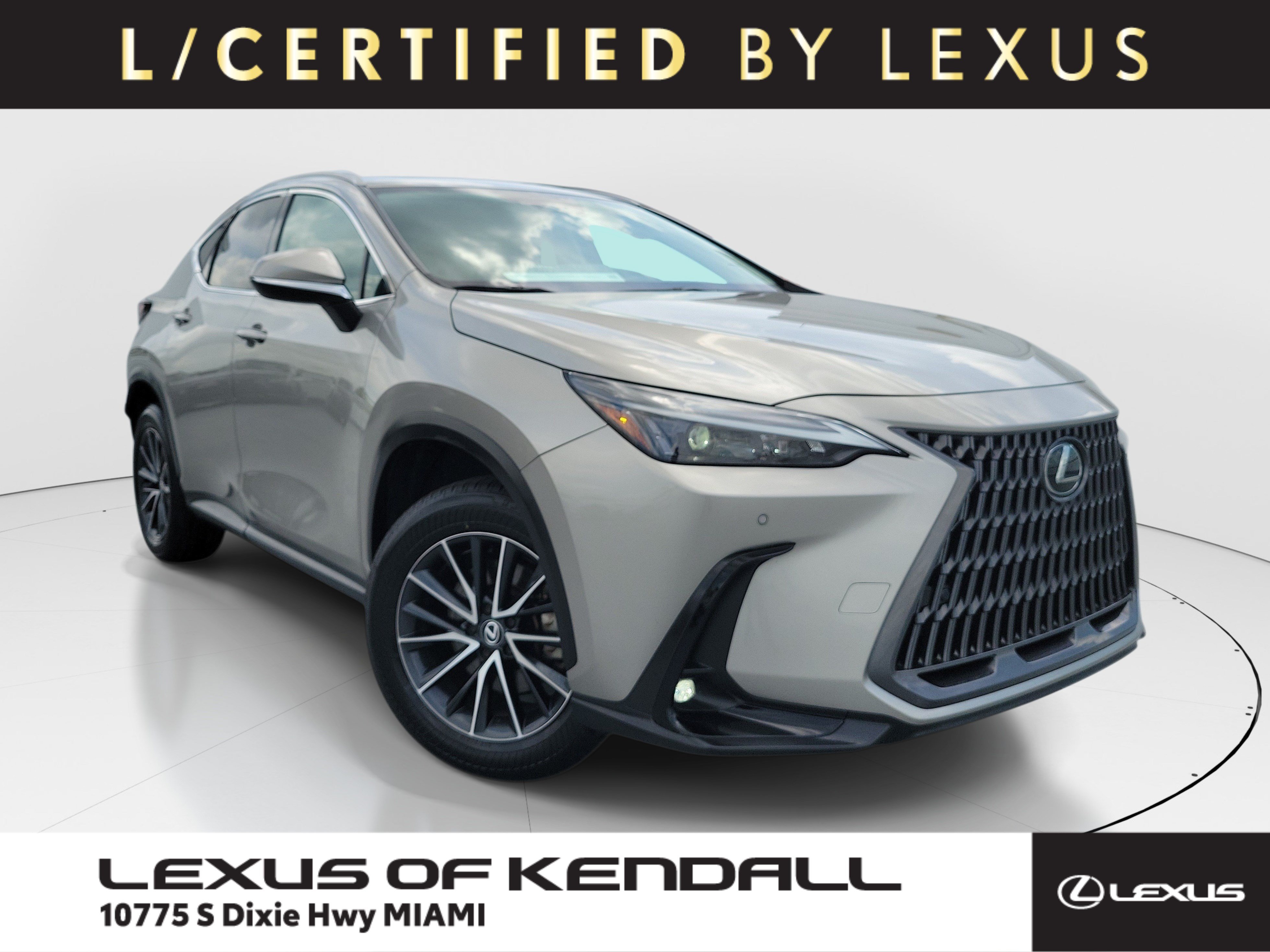 2024 Lexus NX