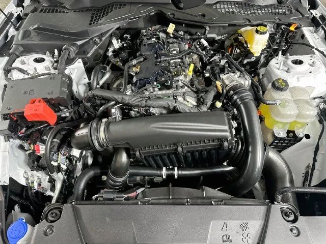 New 2026 White Ford EcoBoost image 19