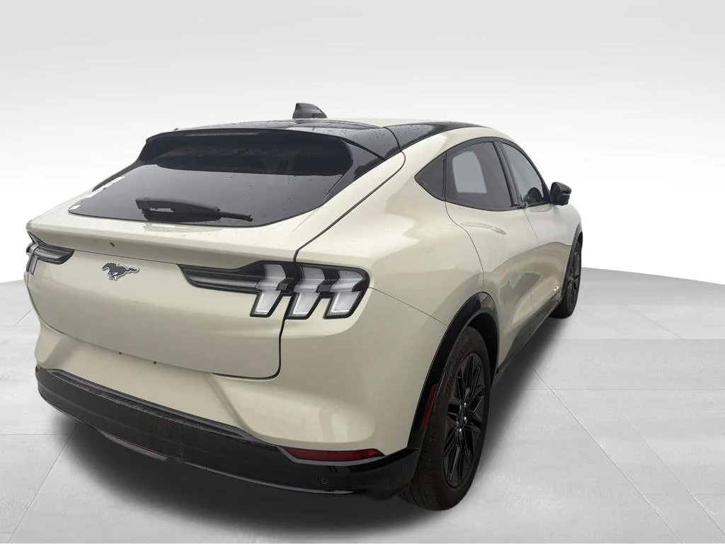 Used 2025 Desert Sand Ford Premium image 18