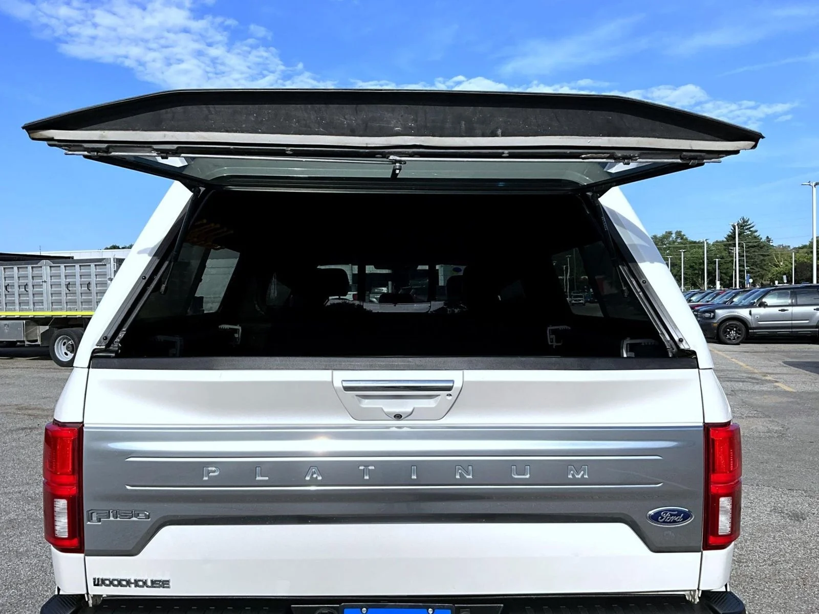 Used 2018 White Ford Platinum image 9
