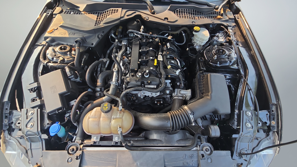 Used 2022 Black Ford EcoBoost Premium image 35