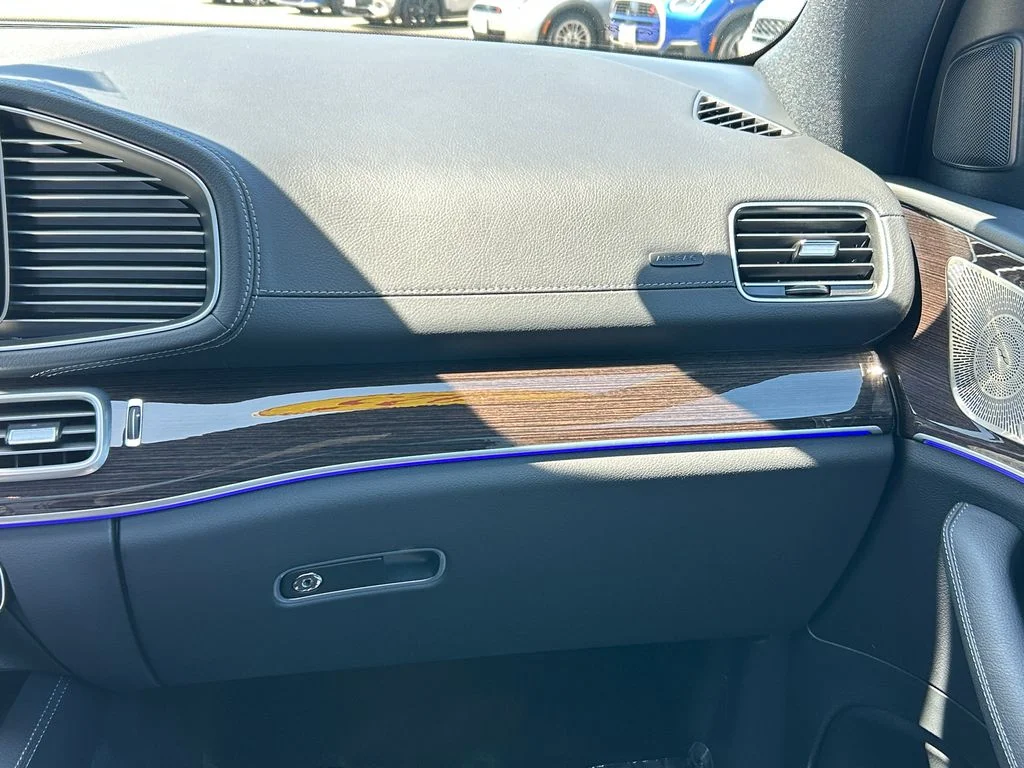 2025 Mercedes-Benz GLS Base - Photo 25