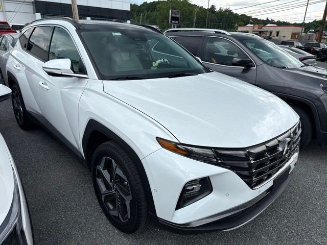Used 2022 Quartz White Hyundai Limited image 2