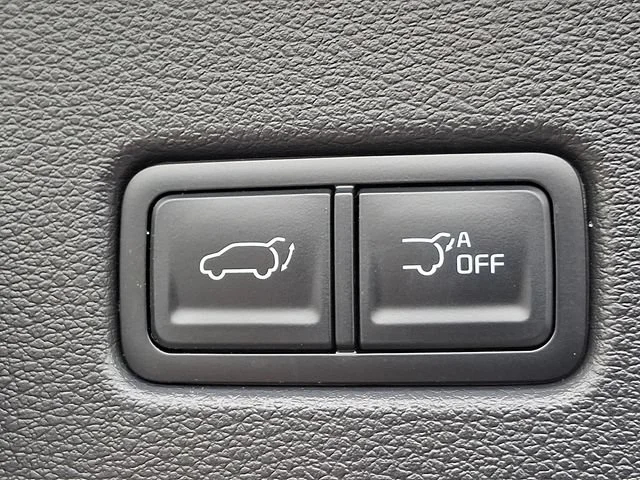 Used 2024 Blue Kia EX X-Line image 31