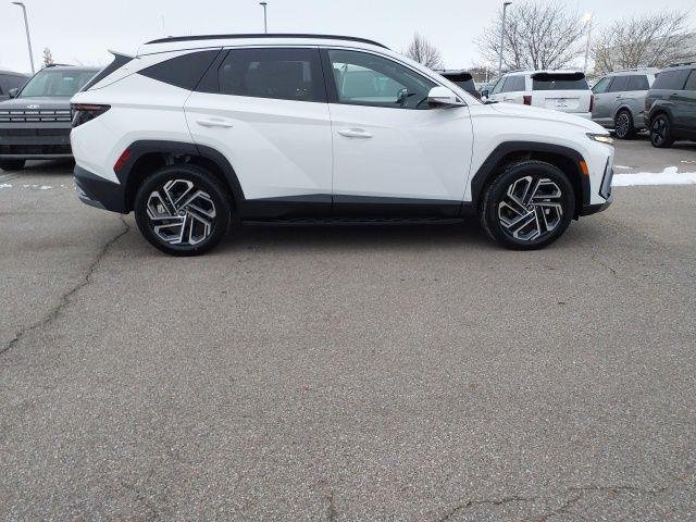 New 2026 White Pearl Hyundai Limited image 5
