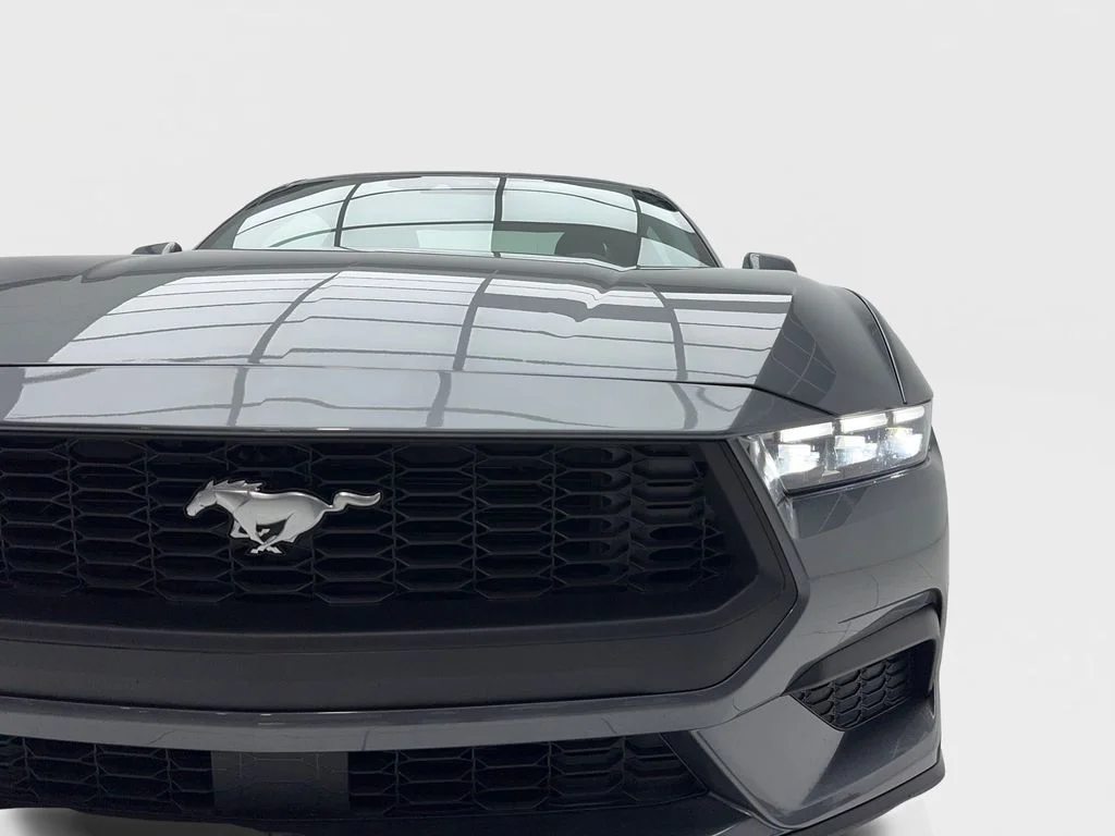 Used 2026 Gray Ford EcoBoost Premium image 5