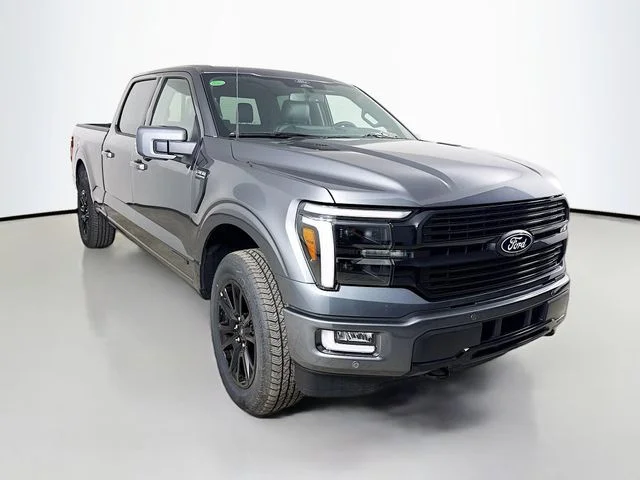 New 2026 Carbonized Gray Metallic Ford Platinum image 1