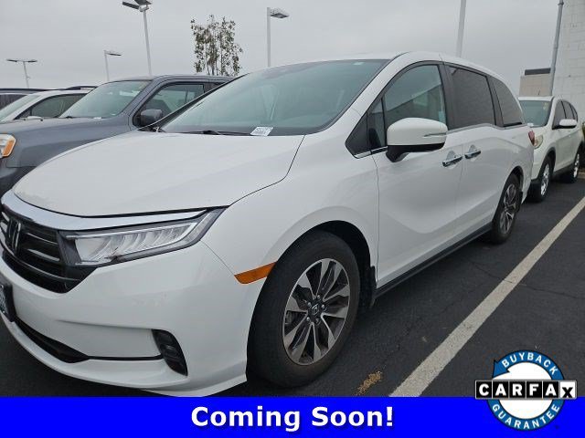 Used 2024 Platinum White Pearl Honda EX-L image 1
