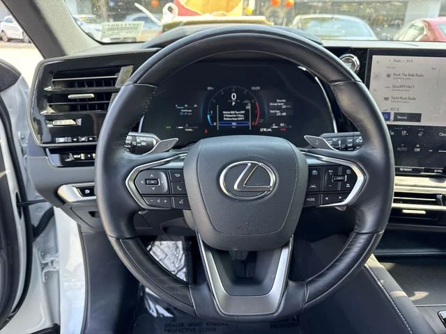 2025 Lexus RX 350 - Photo 14