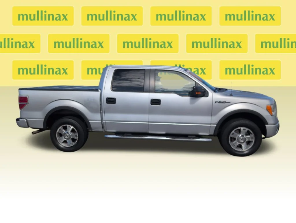 Used 2010 Silver Ford FX4 image 2