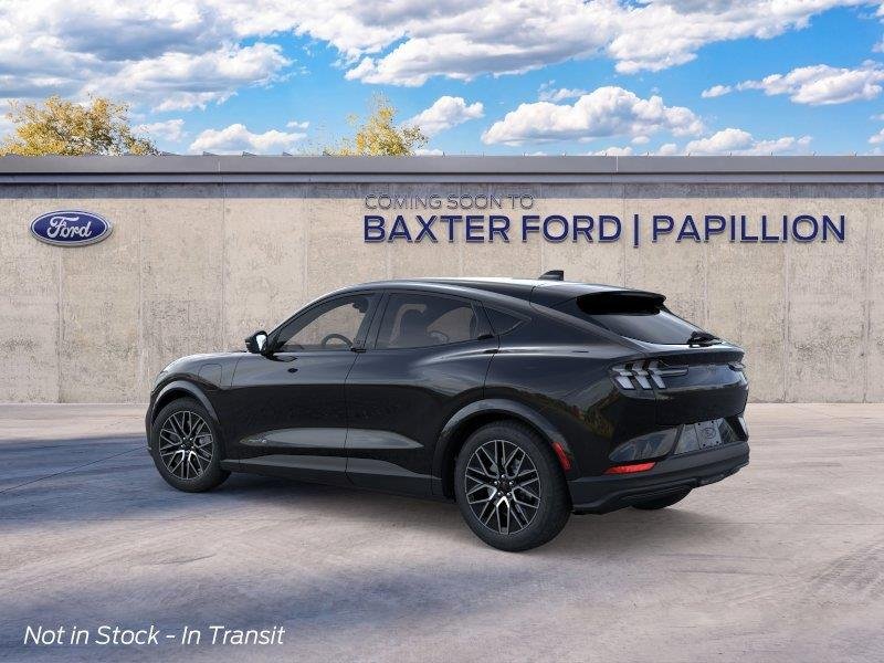 New 2026 Shadow Black Ford Premium image 19