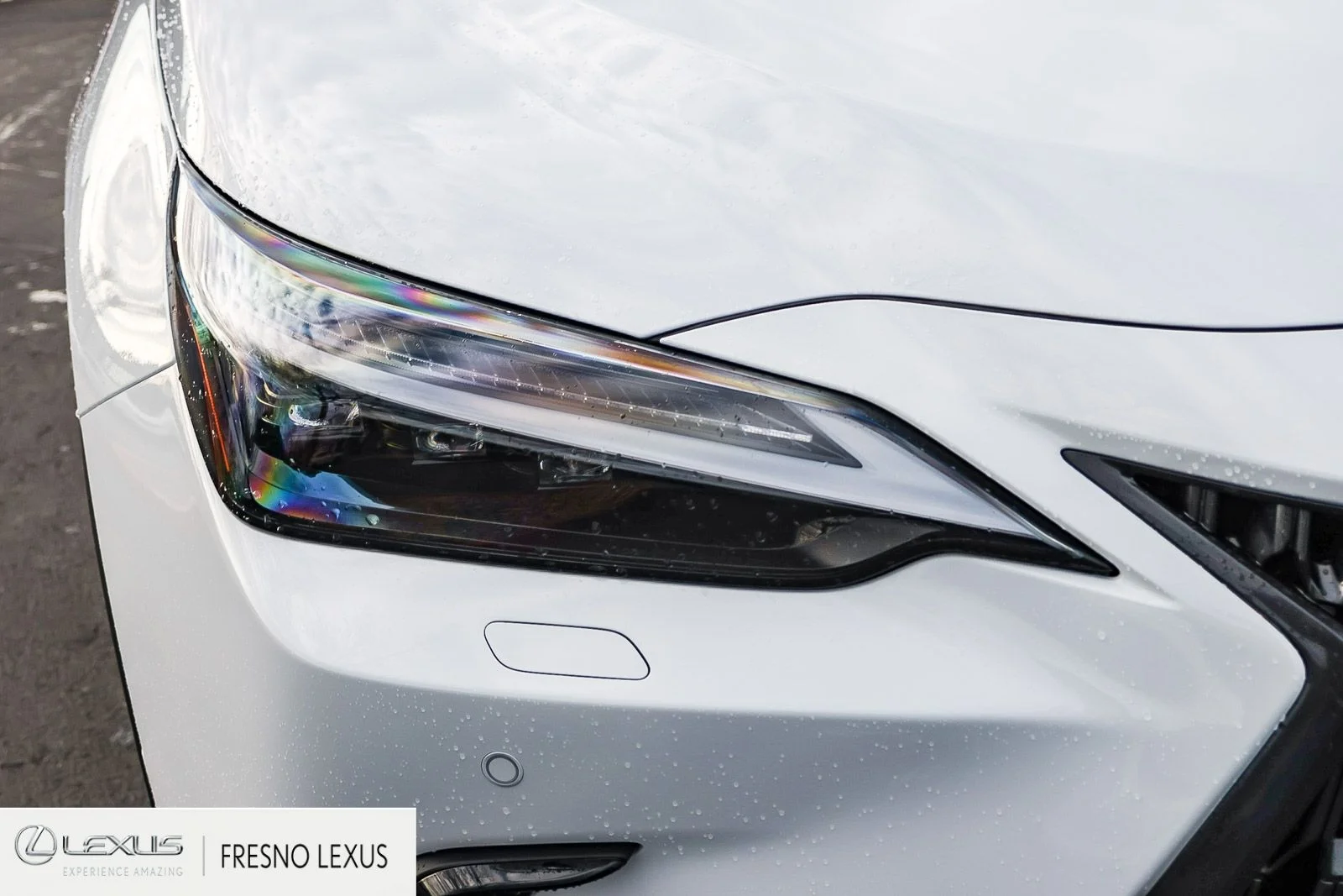 2026 Lexus NX 450h+ Luxury - Photo 10