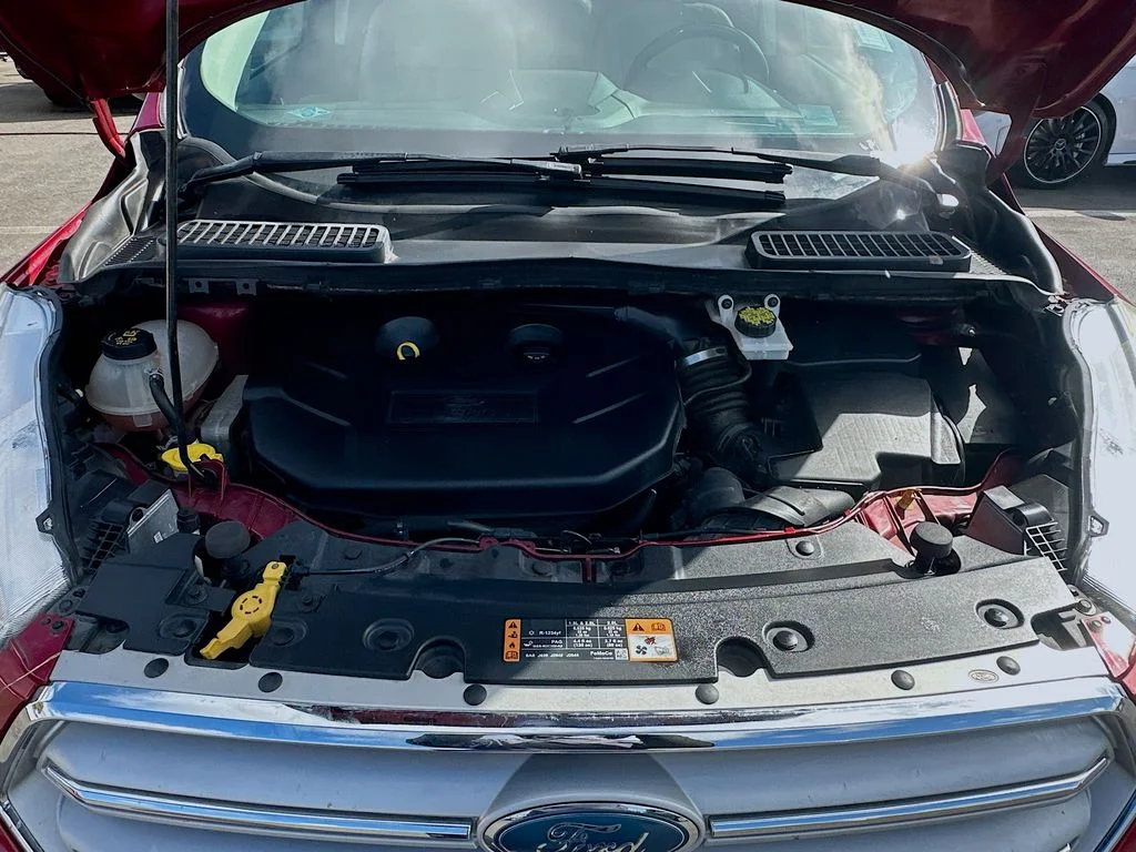 Used 2019 Red Ford Titanium image 30