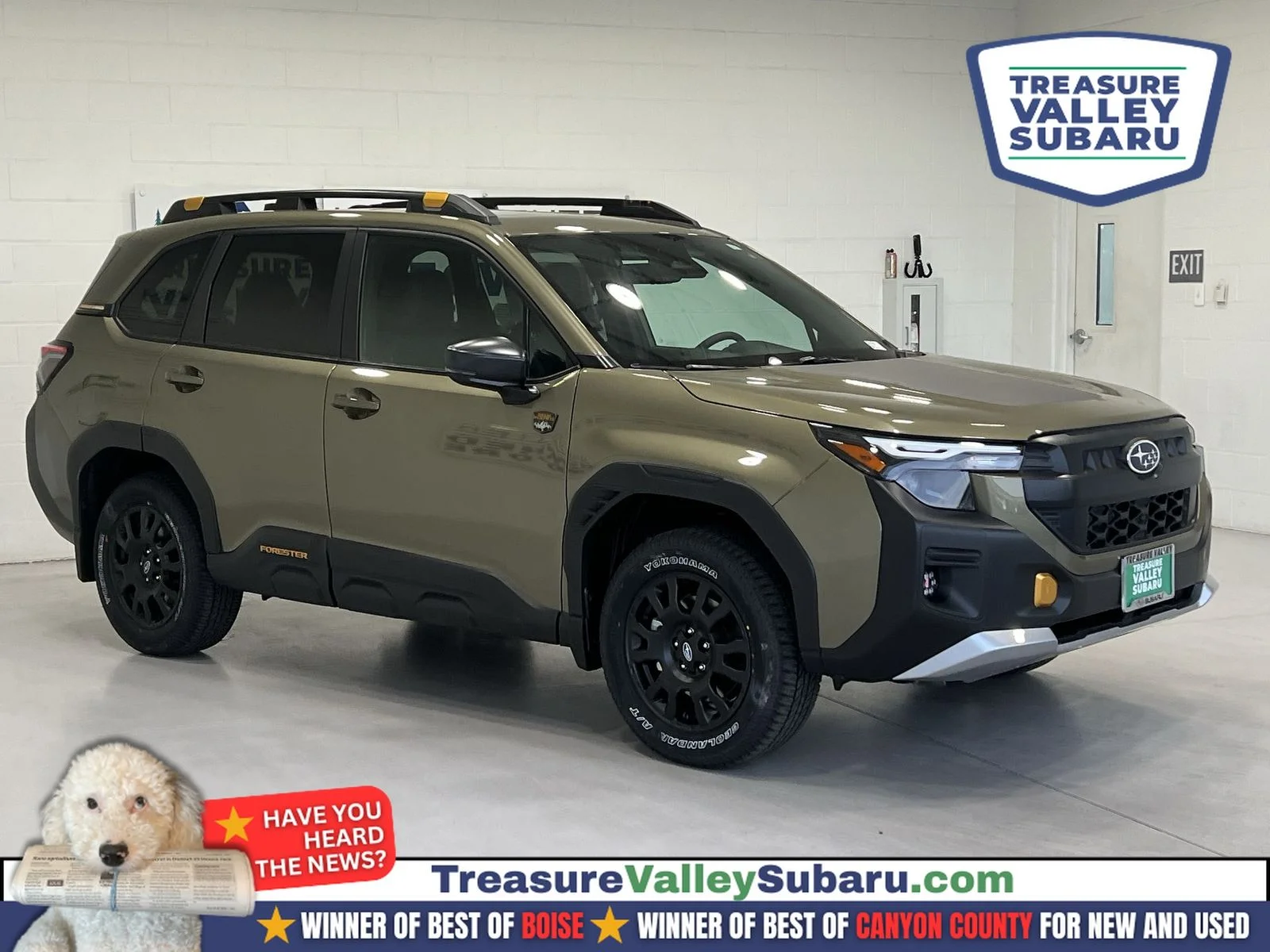 2026 Subaru Forester Wilderness's photo