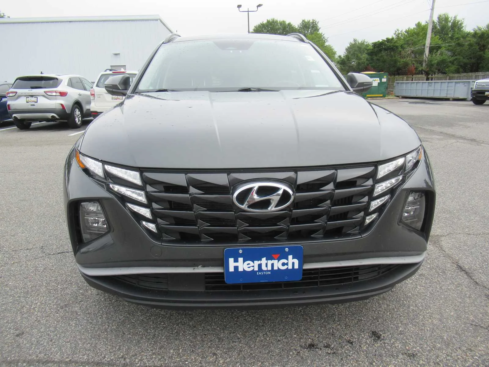 Used 2024 Amazon Gray Hyundai SEL Convenience image 2