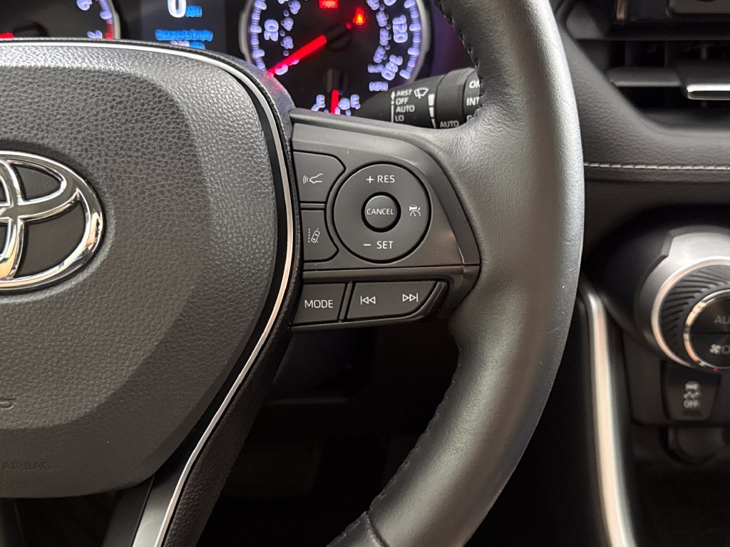 2019 Toyota RAV4 XLE Premium - Photo 16