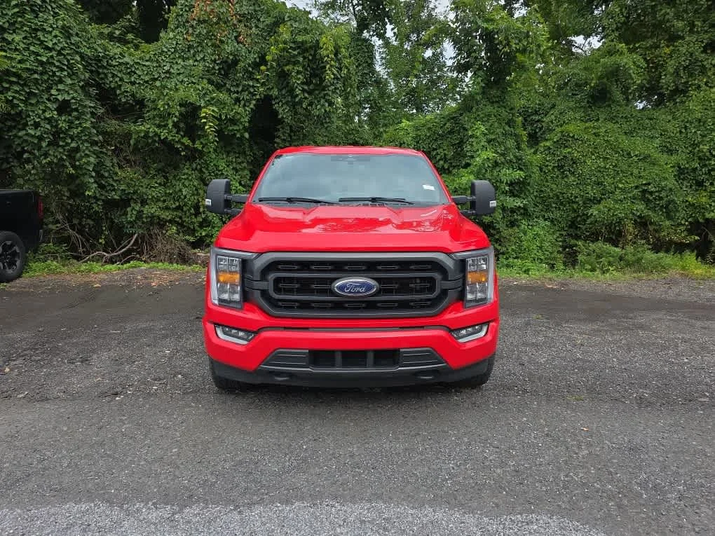 Used 2023 Race Red Ford XLT image 2