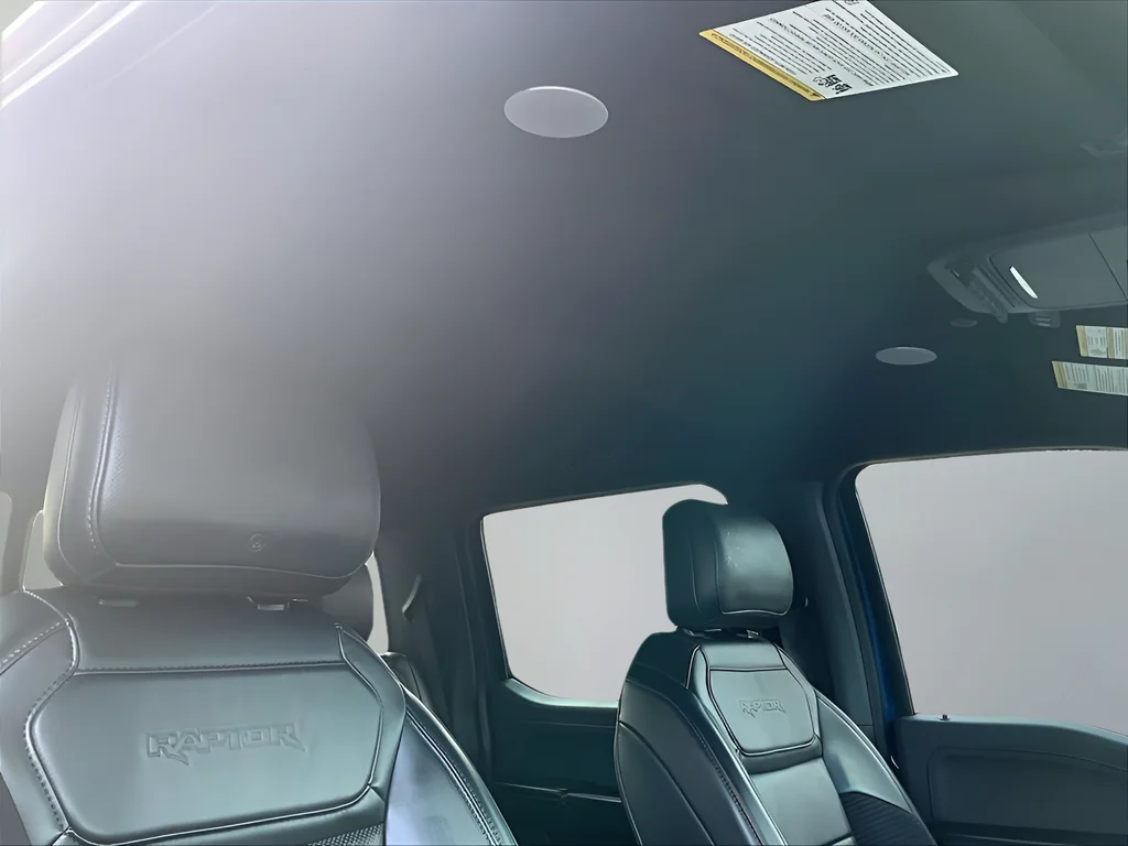 2022 Ford F-150 Raptor - Photo 14