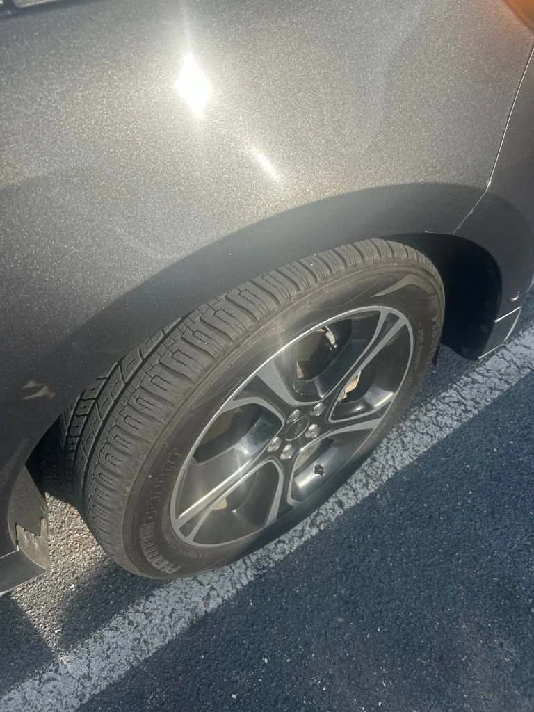 Used 2019 Magnetic Ford ST image 10