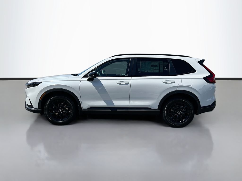New 2026 Platinum White Pearl Honda Sport image 3