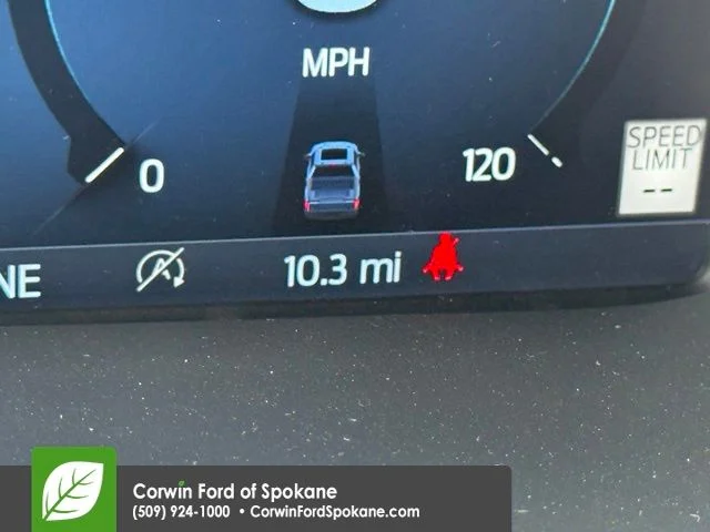 New 2026 Oxford White Ford XLT image 4