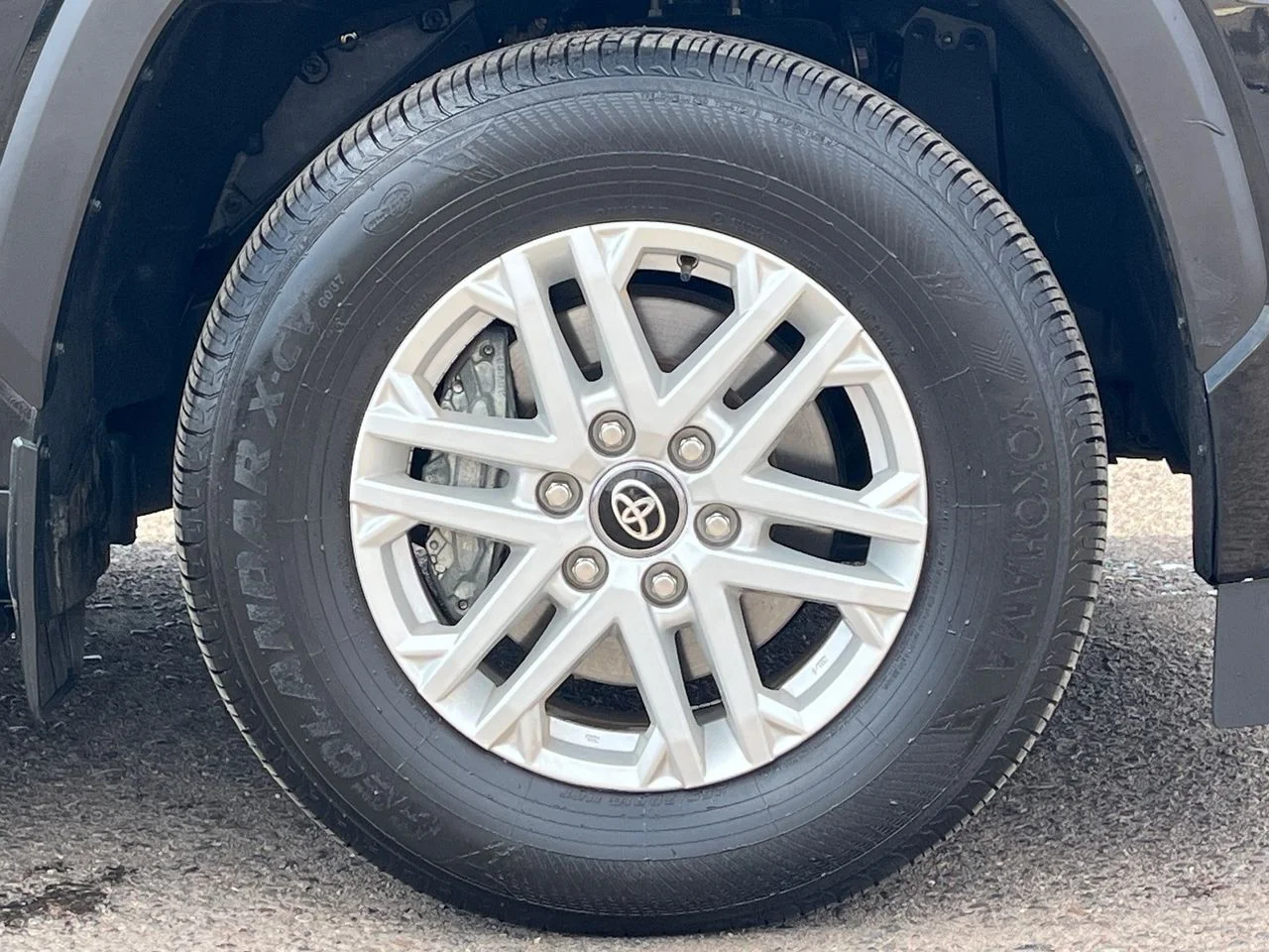 2025 Toyota Sequoia SR5 - Photo 8
