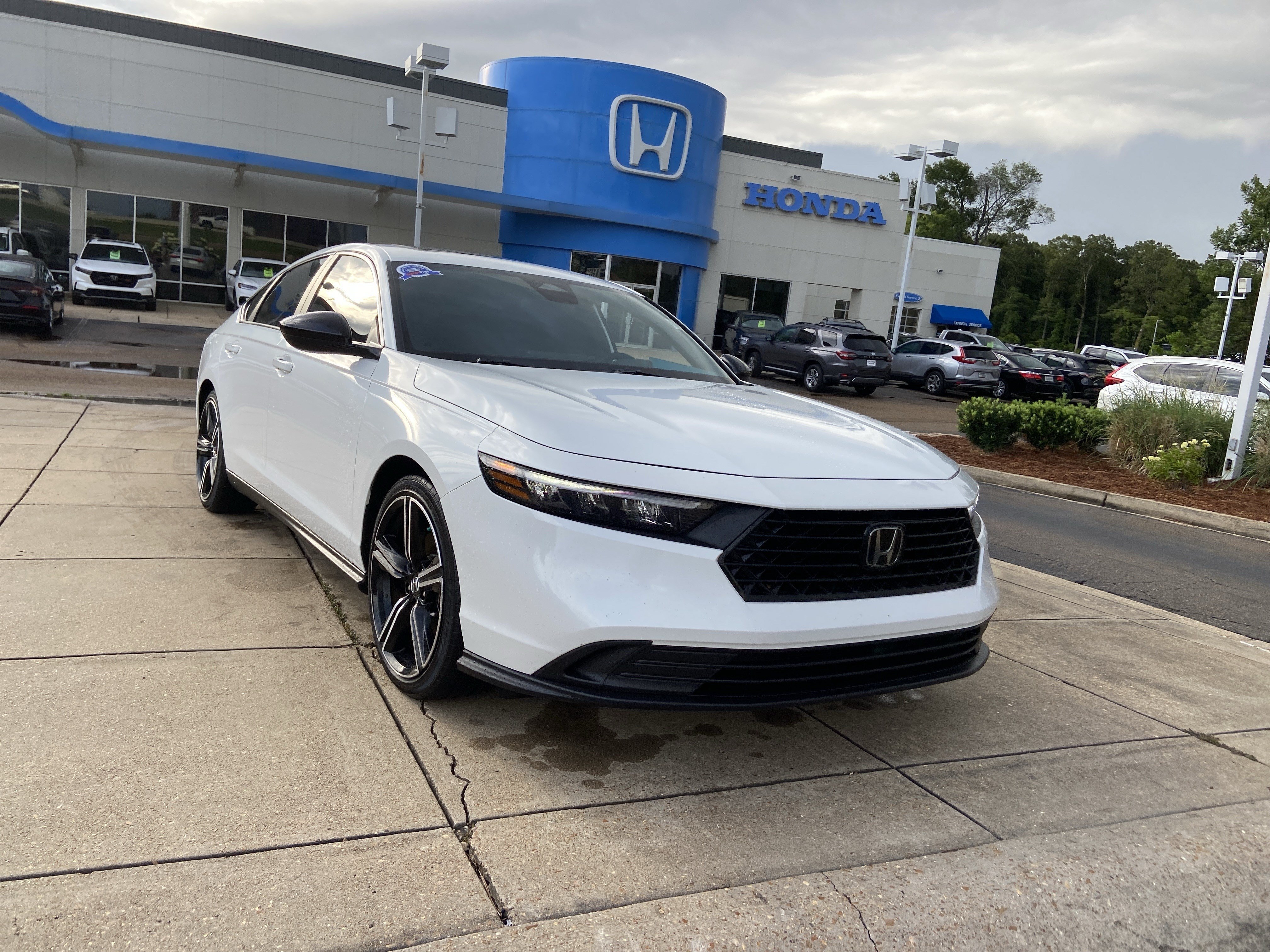 Used 2024 Platinum White Pearl Honda Sport image 2