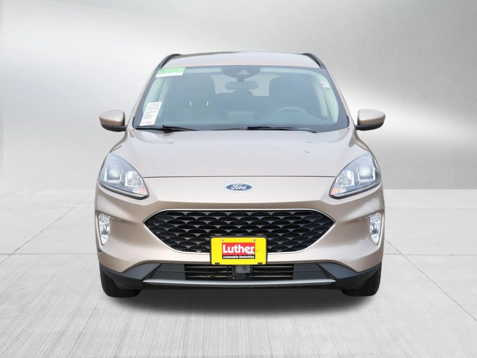 Used 2020 Ford Escape SEL with VIN 1FMCU9H60LUC33626 for sale in Cambridge, MN
