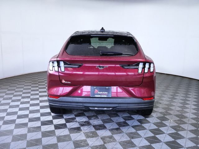 Used 2025 Red Ford Premium image 7