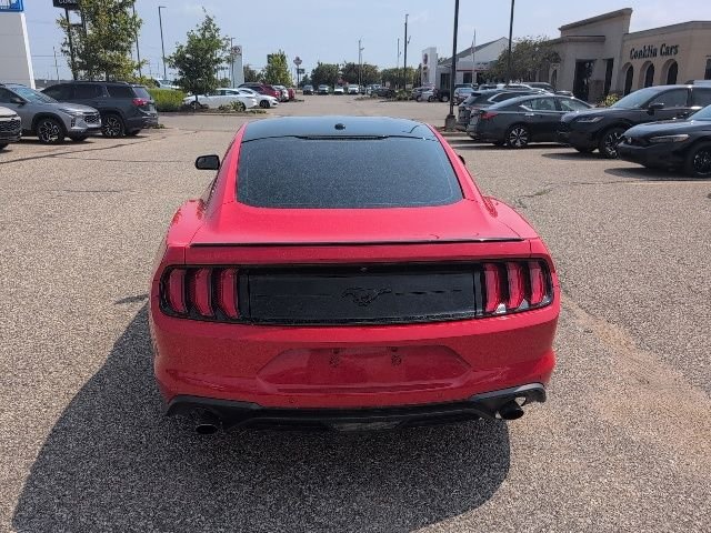 Used 2019 Red Ford EcoBoost image 3