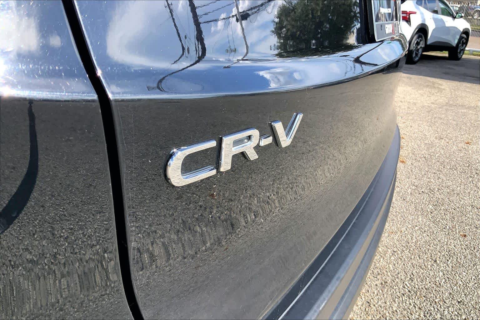 Photo 31