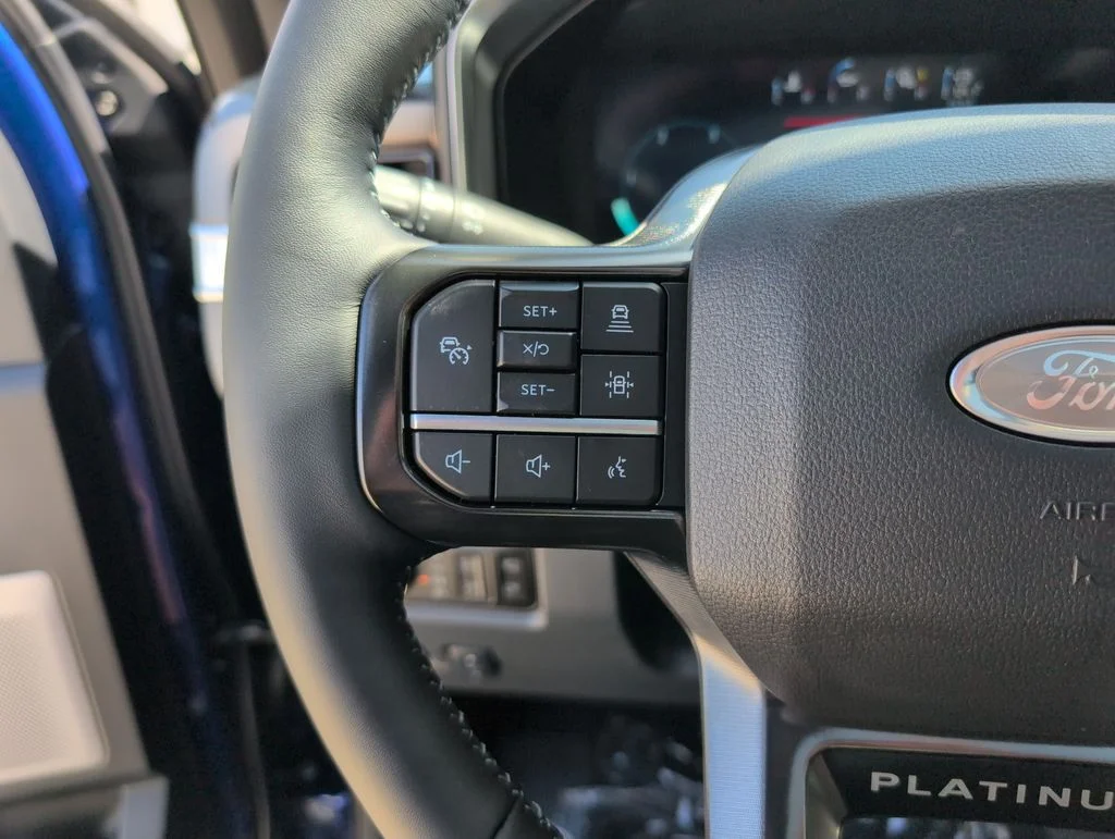 New 2026 Blue Ford Platinum image 32