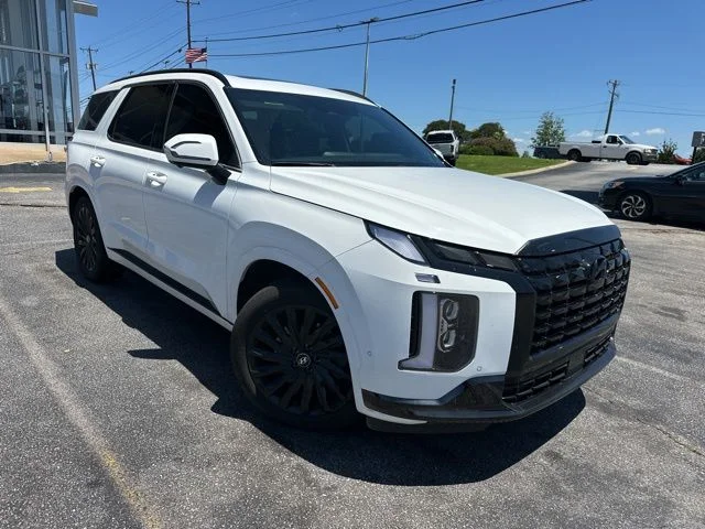2024 Hyundai Palisade Calligraphy Night Edition AWD's photo