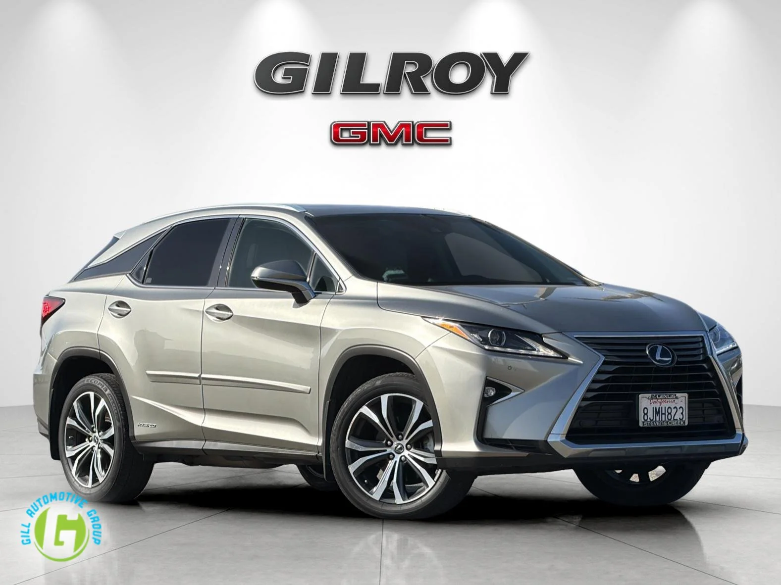 2019 Lexus RX Hybrid