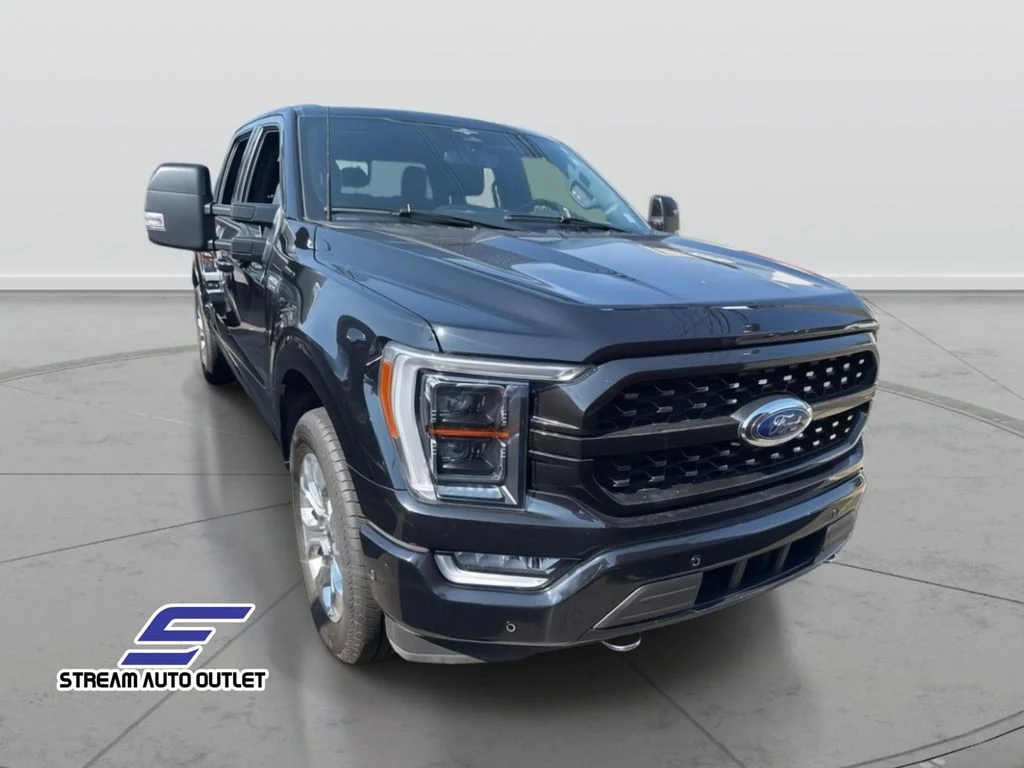Used 2023 Black Ford Platinum image 2