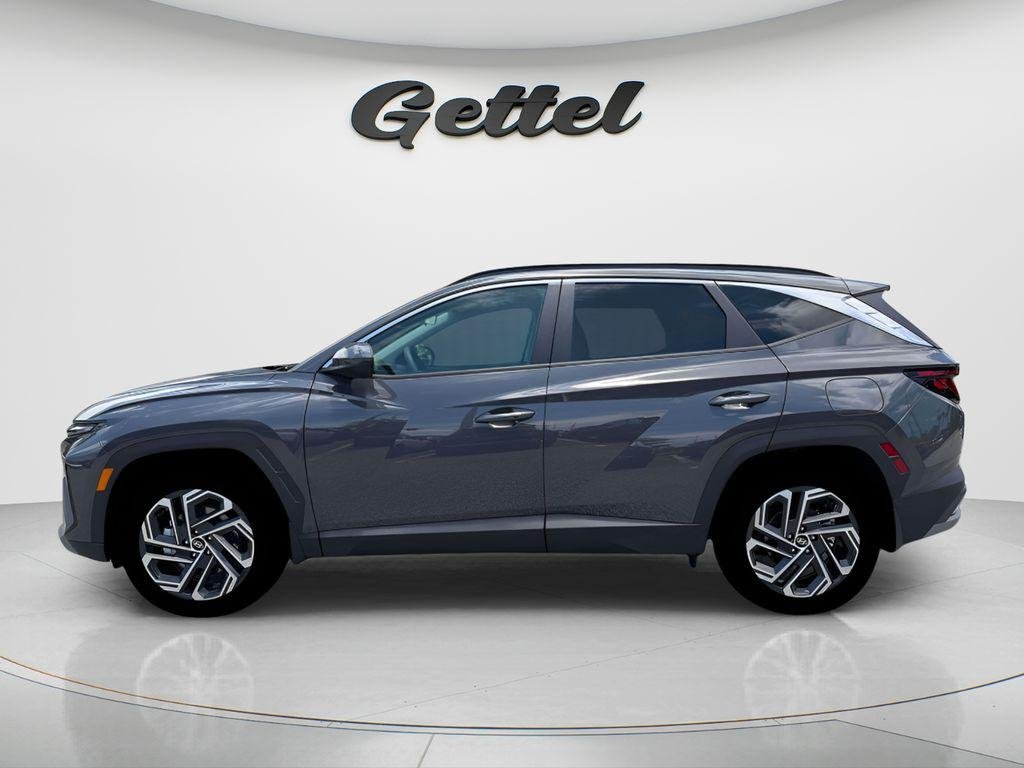 New 2026 Gray Hyundai SEL Plus AWD image 12
