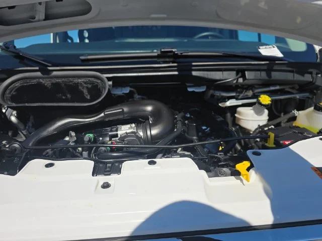 Used 2025 White Ford Base image 29