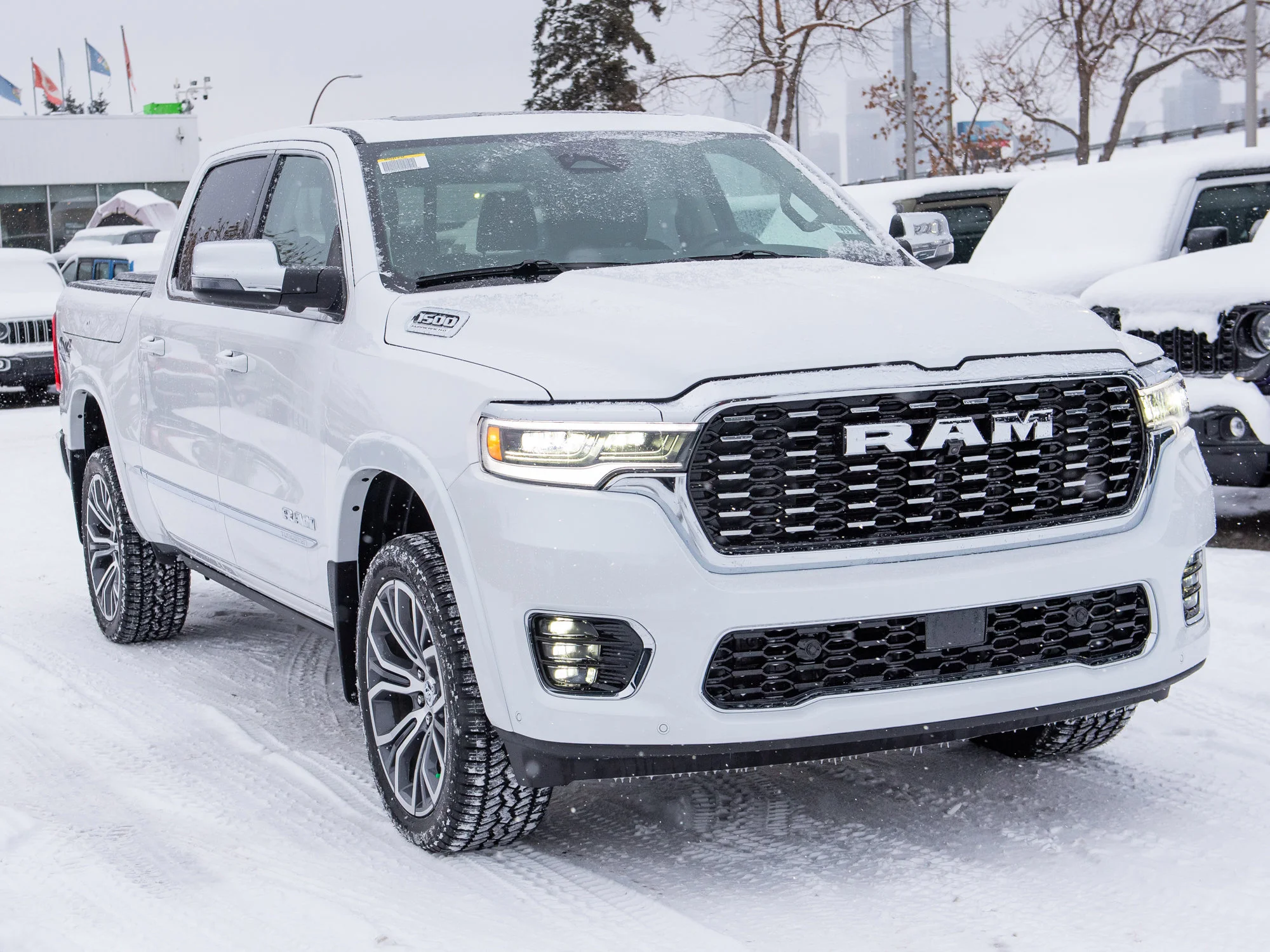 New 2026 White RAM Tungsten* image 12