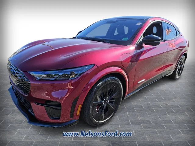 2025 Ford Mustang Mach-E GT - Photo 23