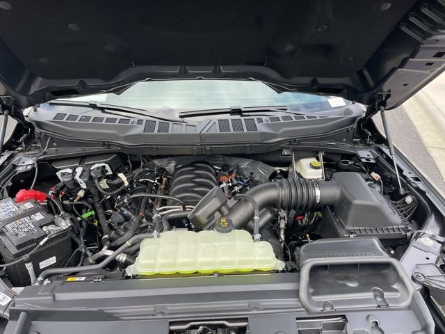 New 2026 Marsh Gray Ford TCcustoms image 22