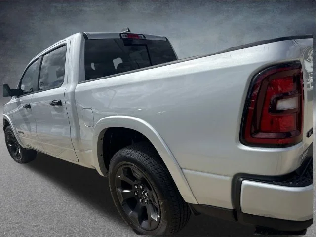 New 2027 Silver Zynith Exterior Paint RAM Big Horn/Lone Star image 16
