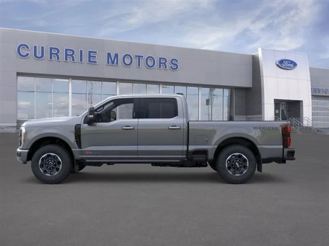 New 2026 Gray Ford Platinum image 3