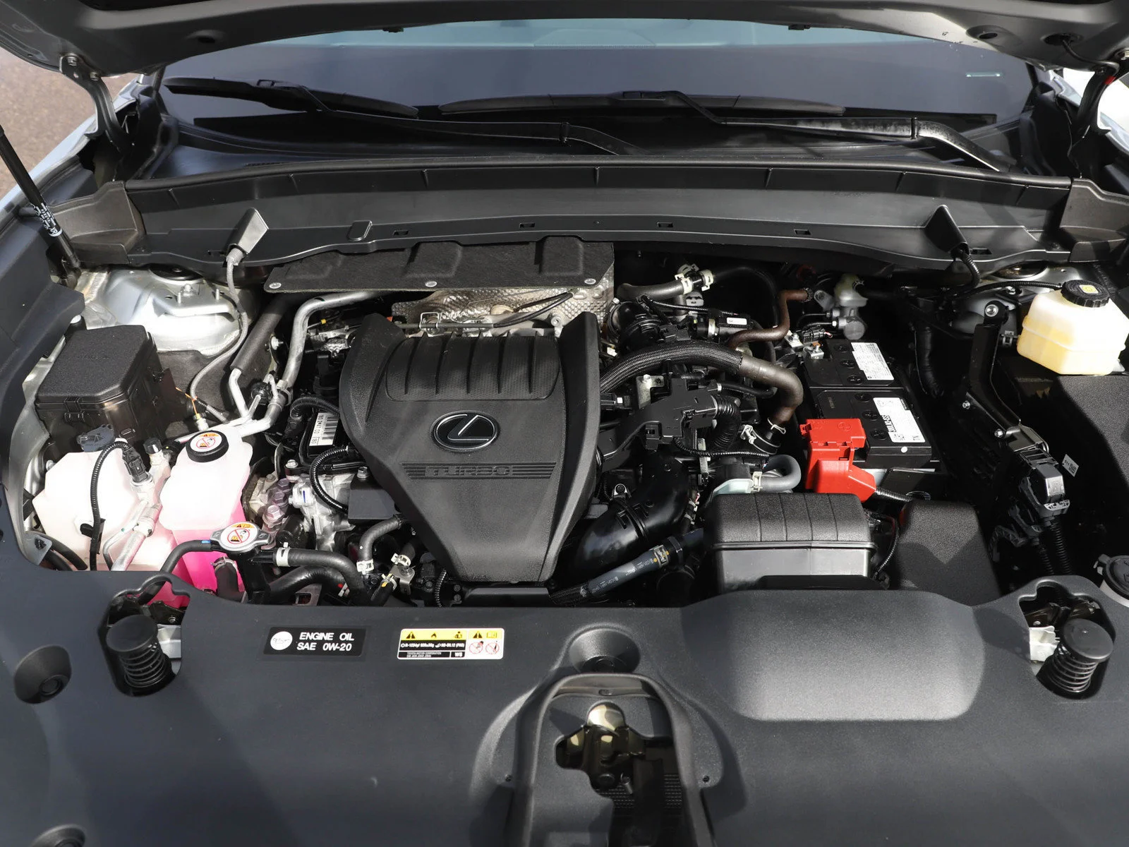 Photo 35
