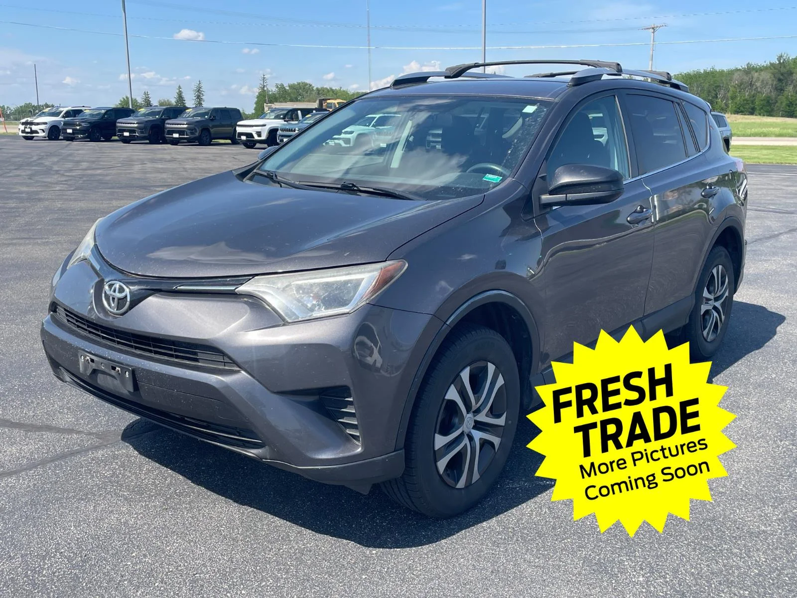 2016 Toyota RAV4 LE AWD's photo