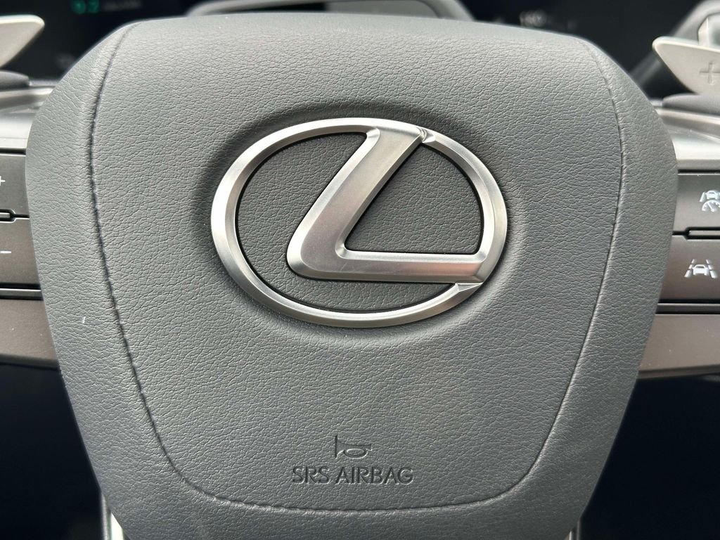 2026 Lexus RX 450h+ Luxury - Photo 20