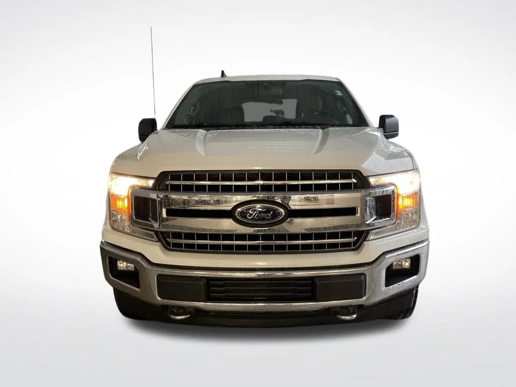 Used 2019 White Ford XLT image 3