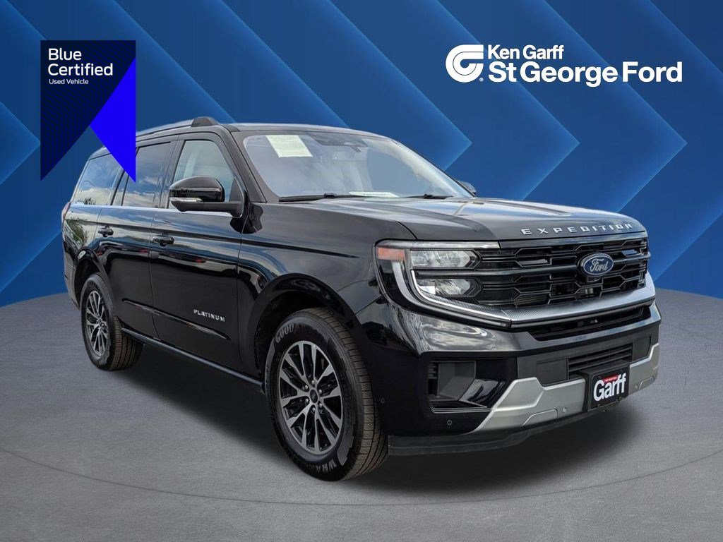 2025 Ford Expedition Platinum 4x4's photo