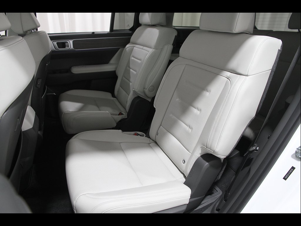 2026 Hyundai Santa Fe Calligraphy - Photo 18