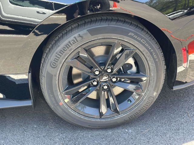 New 2026 Shadow Black Ford TCcustoms image 16